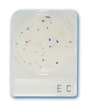 CompactDry EC-e.coli és coliformok meghatározásához